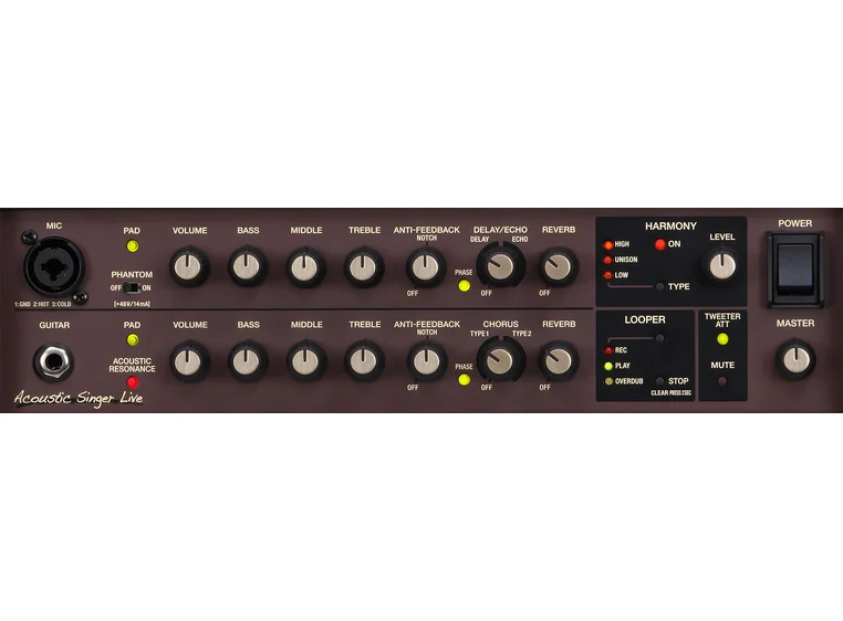 Boss Acoustic Singer Live 